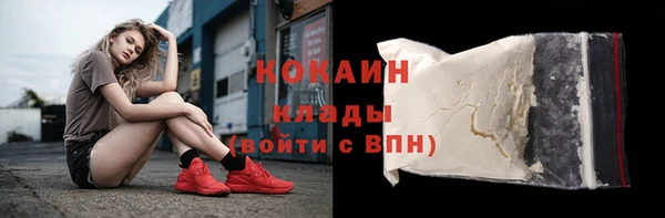 трава Новозыбков