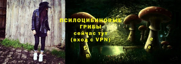 ПСИЛОЦИБИНОВЫЕ ГРИБЫ Магадан