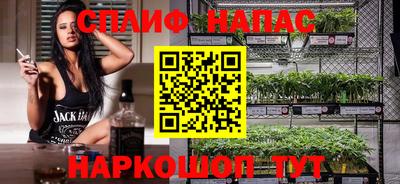 мдпв Камышлов