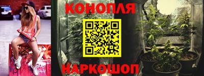 мдпв Камышлов