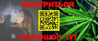мдпв Камышлов