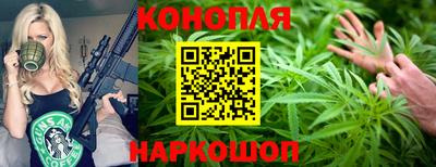 мдпв Камышлов