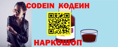 мдпв Камышлов